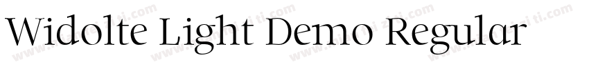 Widolte Light Demo Regular字体转换